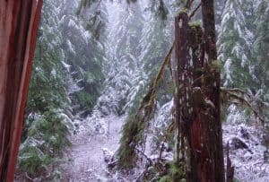 A Path of No Return