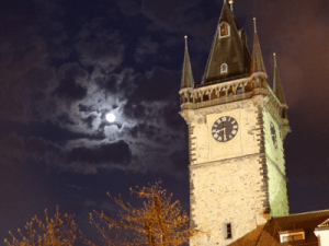 shapeimage_3 (6)