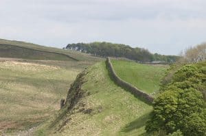 IMG_0855